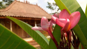 Ndalem Limasan Homestay
